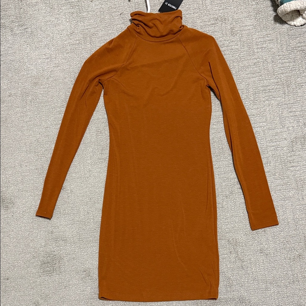Forever 21 Long Sleeve Turtleneck Dress in Burnt Orange